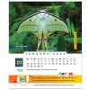 SNHC Calendar 2025