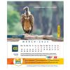 SNHC Calendar 2025