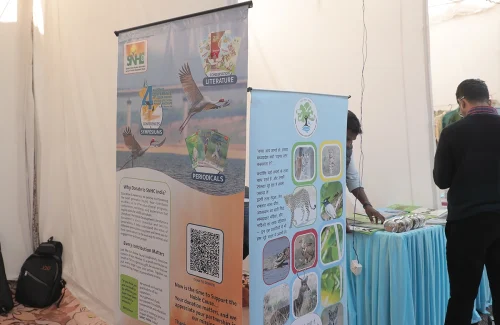 4th Conference branding-03