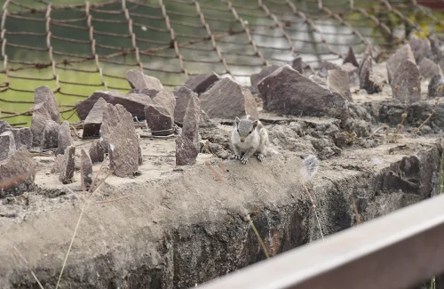 4th Conference field visit-02